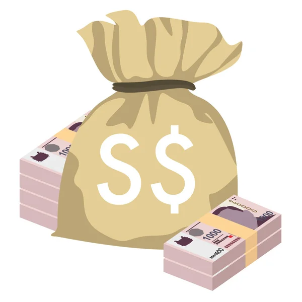 Singapur Doları Vektör Llüstrasyonu Singapur Brunei Parası Tomarla Para Para — Stok Vektör