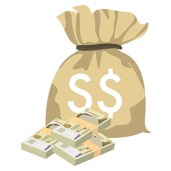 Singapur Doları Vektör Llüstrasyonu Singapur Brunei Parası Tomarla Para Para — Stok Vektör