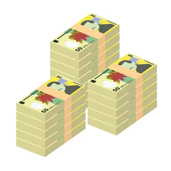 Romeno Leu Vector Illustration Roménia Dinheiro Conjunto Notas Pacote Dinheiro —  Vetores de Stock