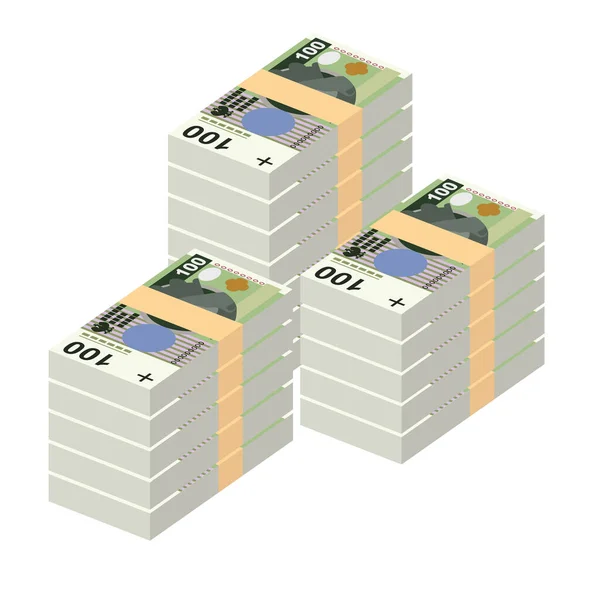 Poolse Zloty Vector Illustratie Polen Geld Set Bundel Bankbiljetten Papiergeld — Stockvector
