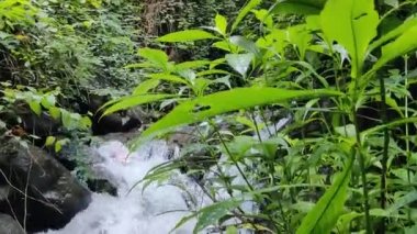 Kerala turistik bölgesindeki kayalıkların üzerinde sersemletici şelaleler.