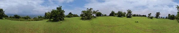 青い空の下で植物の近くの牧草地でいっぱいの公園の美しいパノラマビュー — ストック写真