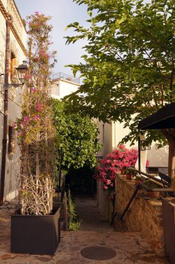 İspanya 'nın Tossa de mar şehrinde güneşli yaz havasında ağaçların ve çiçeklerin olduğu bir cadde.
