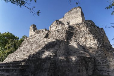 Muhteşem Maya mimari kalıntıları, büyük Calakmul piramidi, harika Meksika Latin kültürü, tatil kampüsü yaz gezisi, arkeoloji kartpostalları.