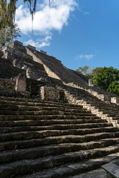 Escadaria Maia Pirâmide Grande Calakmul Incríveis Ruínas Arquitectónicas Incrível México — Fotografia de Stock