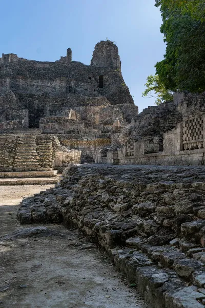 Grande Pirâmide Calakmul Incríveis Ruínas Arquitetura Maia Incrível México Cultura — Fotografia de Stock