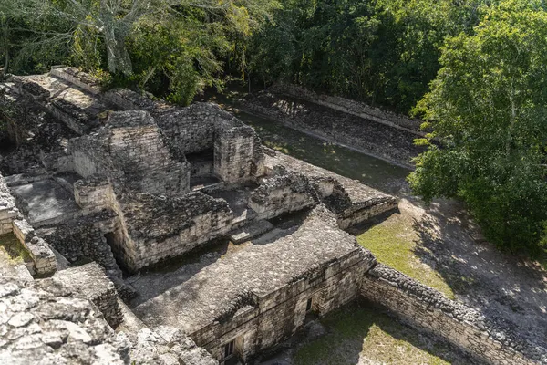 Incríveis Ruínas Arquitetura Maia Grande Pirâmide Calakmul Incrível México Cultura — Fotografia de Stock