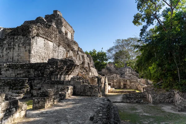 Grande Pirâmide Calakmul Incríveis Ruínas Arquitetura Maia Incrível México Cultura — Fotografia de Stock