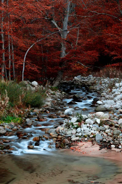 ブルガリアの国立公園 赤い葉 乳白色の滑らかな川と前景の小さな湖でカラフルなシーン — ストック写真