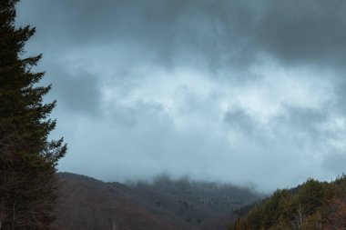 Arkasında bir dağ olan güzel bir manzara.