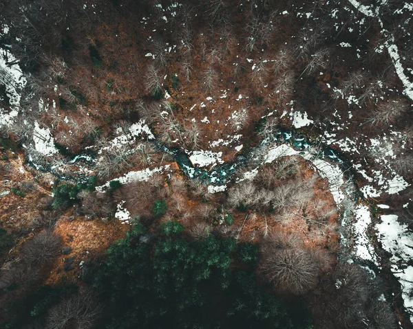 Vista Aérea Abstrata Cima Uma Floresta Rio Durante Inverno — Fotografia de Stock