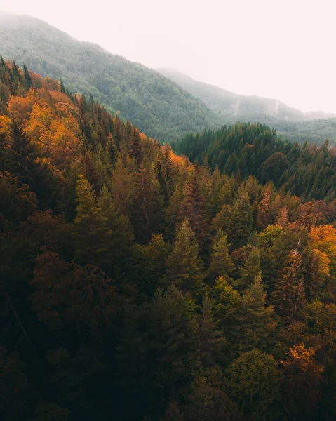 Stock image Beautiful landscape with a mountain range 