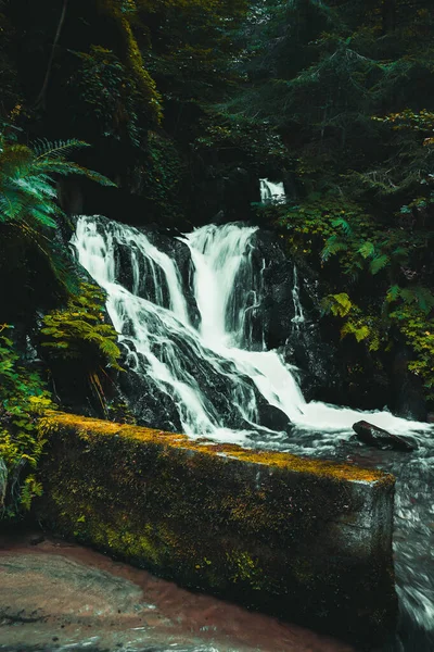 Hermosa Vista Cascada Naturaleza — Foto de Stock