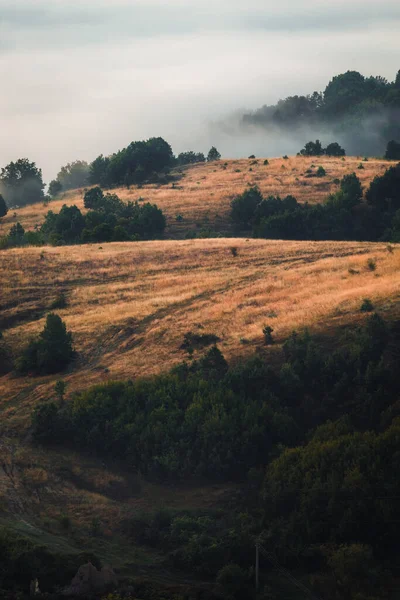 Bela Paisagem Campo Grama Nas Colinas — Fotografia de Stock