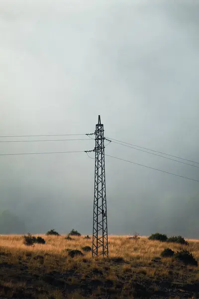 Arka planda güzel bir sabah sisi olan yüksek voltajlı çelik bir direk..