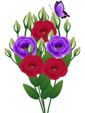 Beyaz arka planda kelebek olan Eustoma çiçekleri.