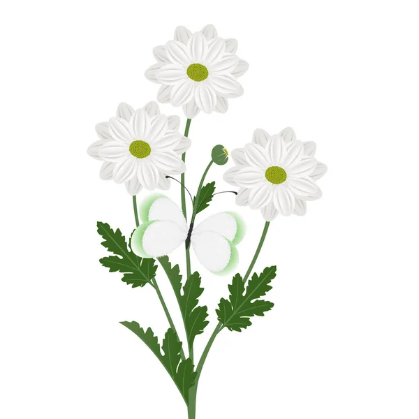 Bouquet Chamomile Chrysanthemums Butterfly White Background — Stockvektor