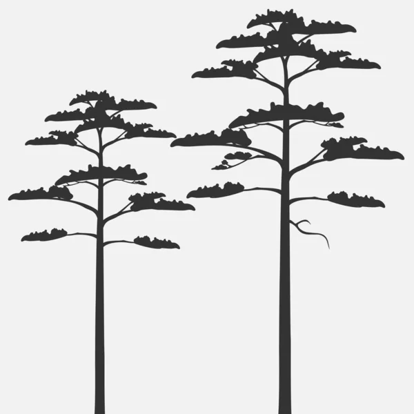 灰色の背景に孤立した松の花のシルエット — ストックベクタ