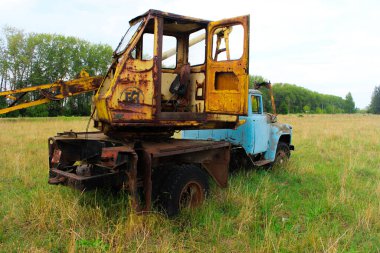 Paslı bir vinç tarlaya atılmış.