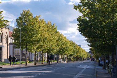 Kopenhag, Danimarka - Eylül 2022: Danneskiold Samsoes Yolu ağaç sıra görüntüsü kraliyet opera binasının arkasında