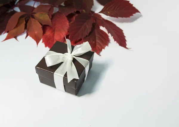 gift brown box with a white bow. gift on a white background. give gifts for the holidays. red autumn leaves in the background. background for autumn theme. top view, copy space. present