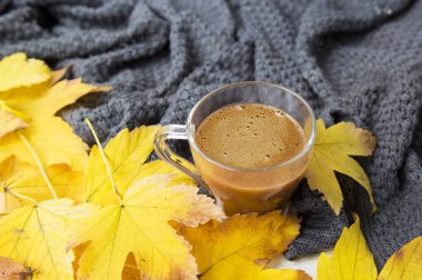 Gri örülü ekose ve sarı sonbahar yapraklı bir fincan sütlü bir fincan kahveyle sonbahar sıcacık hayatı. Metin, yazı ve günlük için yeri olan sonbahar arkaplanı.