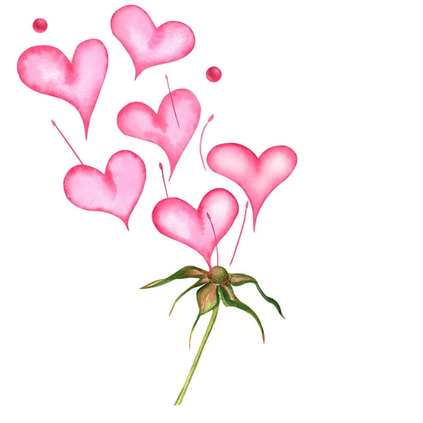 Rosa rosado suave tierno suave flores en forma de corazón acuarela imagen corazones dibujado a mano Día de San Valentín boda amor Imagen de archivo