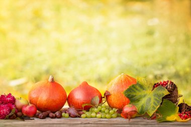Traktör Noel hediyeleri taşıyor. Noel mağazası ve teslimatı. Kavram