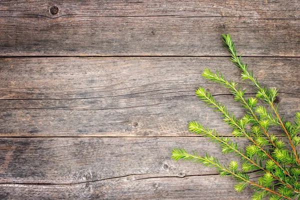 Tak Van Een Canadese Sparren Boom Ligt Een Houten Getextureerde — Stockfoto