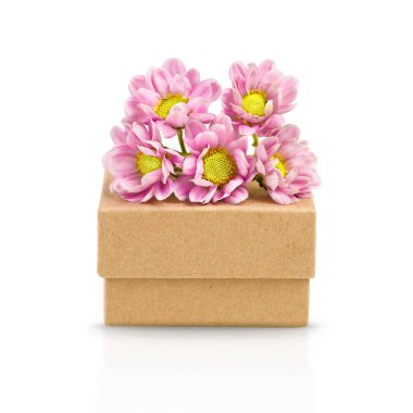 Gift box with chrysanthemum flowers on the lid. Isolated object on a white background