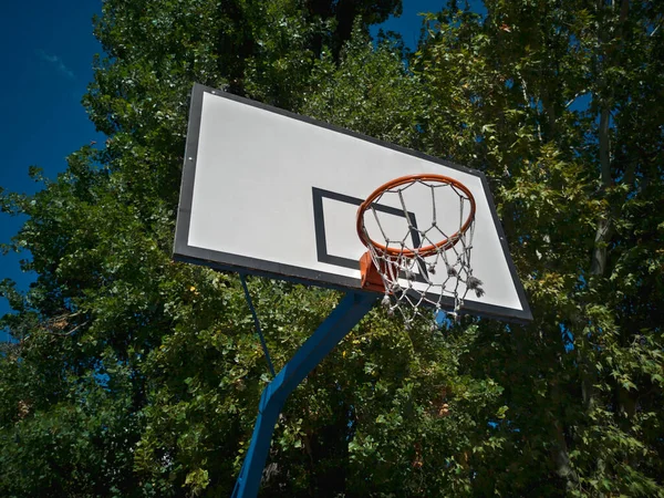 Red basketball hoop with a net on a white wooden backboard, low angle view