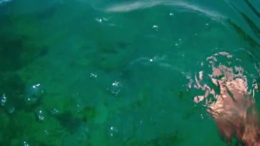 Bir adam suya dalıyor ve yüzgeçlerini taktığı ayaklarına bakıyor. Bakış açısı, sualtı ağır çekim