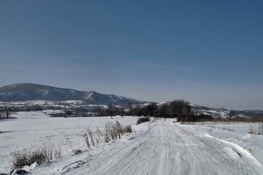 Karla kaplı kırsal yol ileride. Kurumuş bitkilerin tepeleri yüzeyin üstünde çıkıntı yapıyor. Ortadaki küçük orman ve uzaktaki dağ. Açık mavi gökyüzü ile güneşli bir kış günü