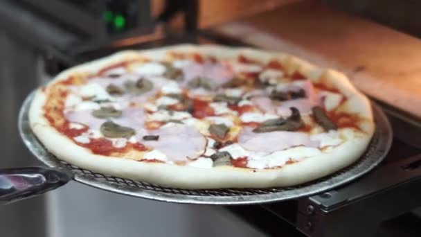 Cucinare Pizza Cucina — Video Stock