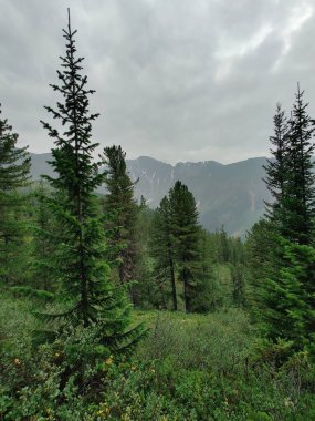 Sayan dağlarında harika bir yerde bulunan güzel bir dağ sırasının manzarası