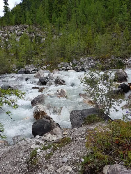 Vista Río Montaña Bosque Siberiano —  Fotos de Stock