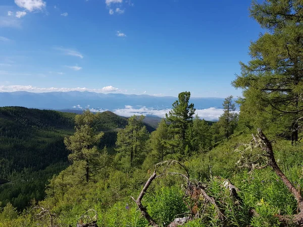 Vadinin güzel bir manzarası, eşsiz bir dağ manzarası var.