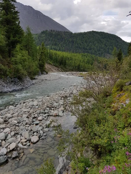 Ένα Όμορφο Βουνό Ποτάμι Που Προέρχεται Από Τις Οροσειρές Στα — Φωτογραφία Αρχείου
