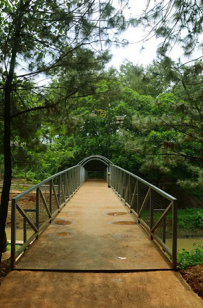 Ponte Galleggiante Con Alberi Bogor Giava Occidentale — Foto Stock