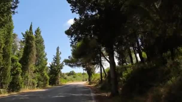 Tiro Aéreo Uma Scooter Que Vai Longo Estrada Floresta Drone — Vídeo de Stock