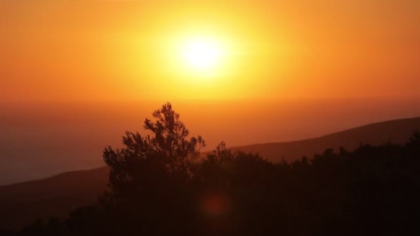 夕阳西下 从山上看去 时间过得真慢 前景色是松树 背景是日落 从光到完全黑暗 — 图库视频影像