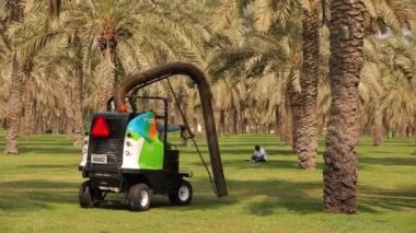 A huge vacuum cleaner on the buggy cleans grass between palms. High quality FullHD footage