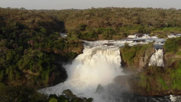 Drohnenschuss Über Dem Afrikanischen Fluss Und Ein Mächtiger Wasserfall Hochwertiges — Stockvideo