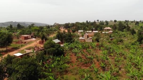 Drone Strzelał Nad Osadą Slumsów Ugandy Zielonymi Palmami Glinianymi Domami — Wideo stockowe