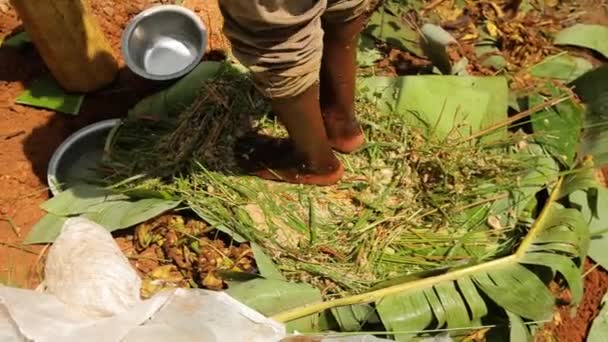 African Mans Legs Squeezing Smashing Bananas Grass Banana Leaves Cooking — Stock Video