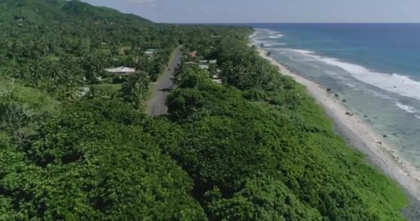 Drone Follows Car Moving Ocean Exotic Road Cook Islands Palms — Video Stock