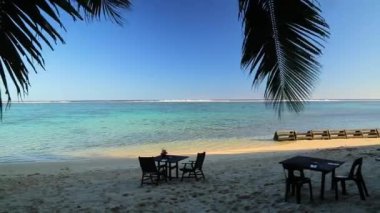 Dinner table set on the beach under the palm tree in exotic Cook Islands. High quality FullHD footage