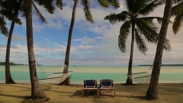 Egzotik Karayip Adaları Sahillerinde Palmiye Ağaçları Hamak Yüksek Kaliteli Fullhd — Stok video