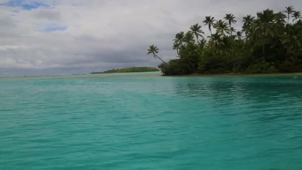 Shot Boat Moving Small Tropical Carribean Island Palms High Quality — Vídeo de stock