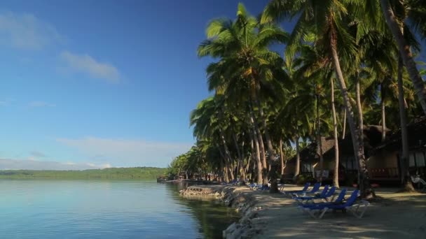 Calm Sandy Beach Sun Beds Palm Trees Ocean — Stock Video